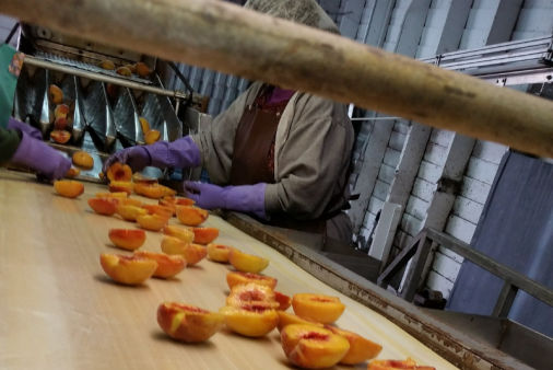 nano coatings for conveyors