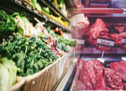 NanoWorks Solutions for the food industry